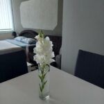 Apartmani Lazaro - Visegrad