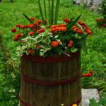 Apartman Lotika - Visegrad