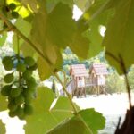 Idiličan brijeg - Visegrad